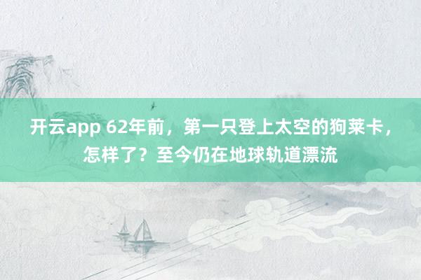 开云app 62年前，第一只登上太空的狗莱卡，怎样了？至今仍在地球轨道漂流