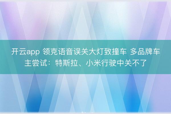 开云app 领克语音误关大灯致撞车 多品牌车主尝试：特斯拉、小米行驶中关不了